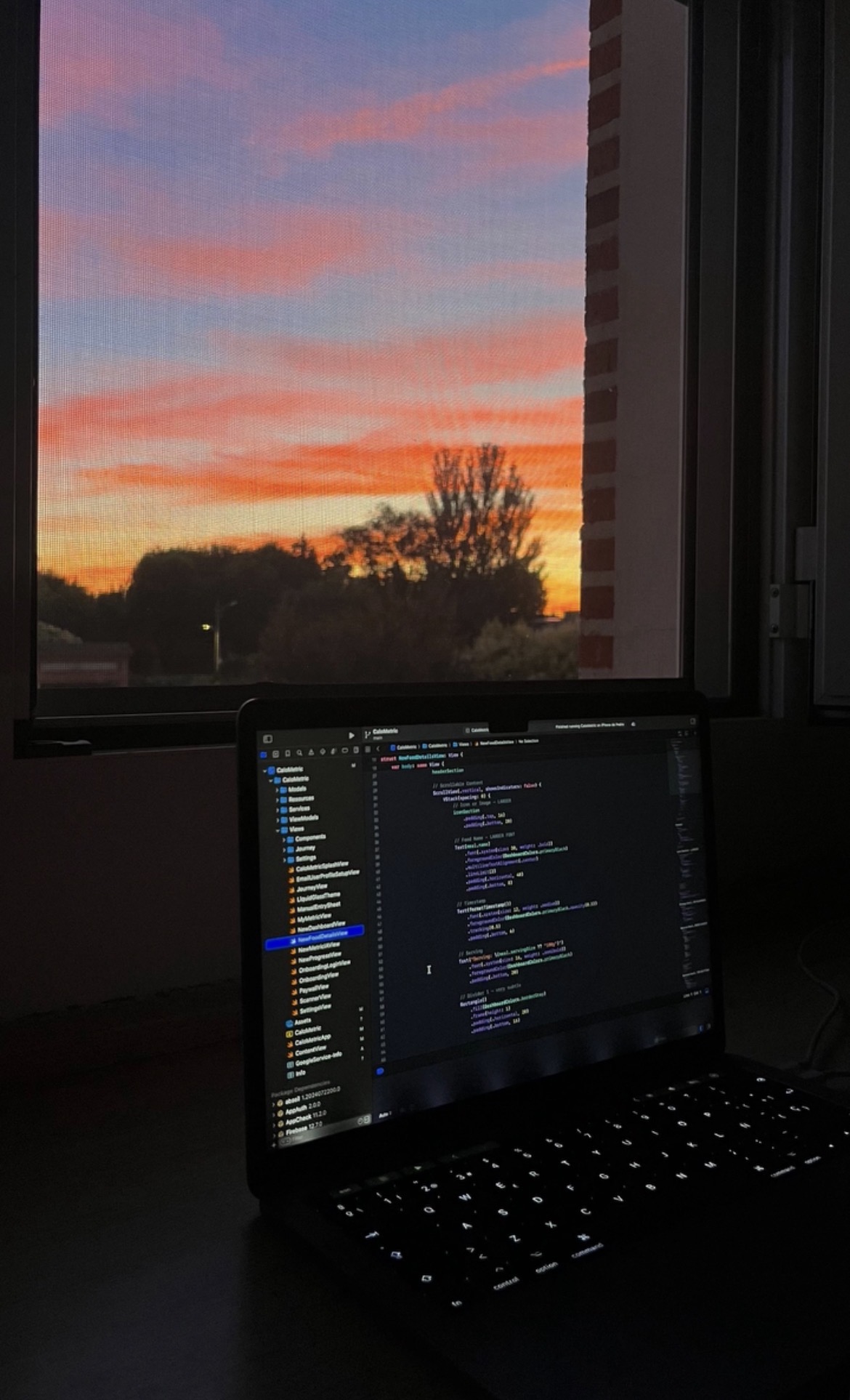 CaloMetric abierto junto al código en el que trabajaba con Xcode